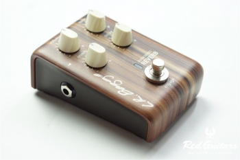 REVERB Proprietary Reverb Tailored Specially for Acoustic Instruments